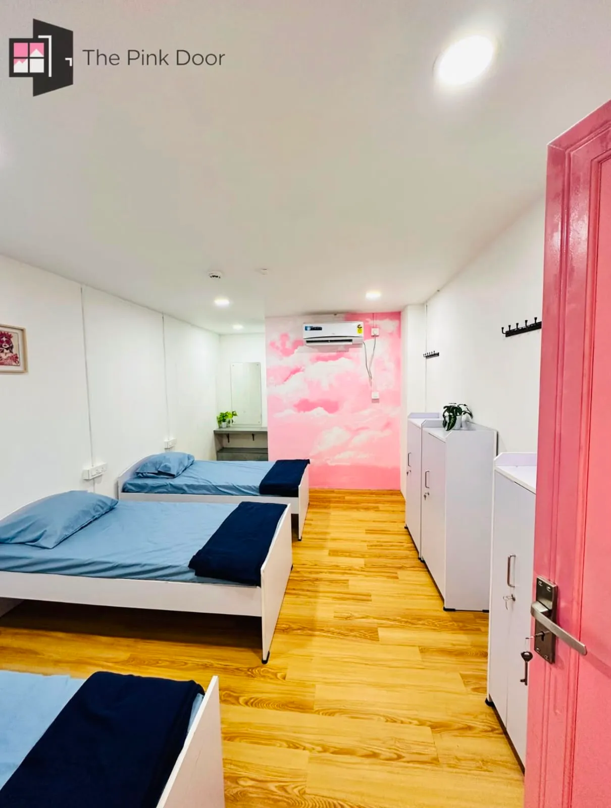 THE PINK DOOR